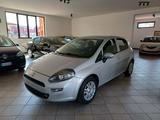 Fiat Punto 1.2 8V 5 porte Lounge GPL - gebrauchte Fiat Punto aus dem Jahr 2016