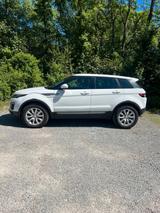 Andere Land Rover Range Rover Evoque - Andere in Stuttgart