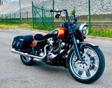 Harley-Davidson ROAD KING 124 - THUNDERBIKE CUSTOMIZED