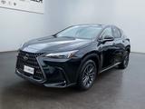 Lexus NX 450h+ E-FOUR Executive Line *HUD*360*Pano*LED - Lexus NX-Serie in Leipzig