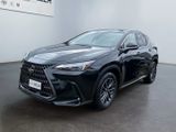 Lexus NX 450h+ E-FOUR Executive Line *HUD*360*Pano*LED - Lexus NX 450h Neuwagen