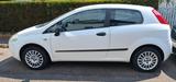 Fiat Punto 1.2 - Fiat Punto Gebrauchtwagen in Stuttgart