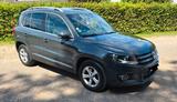 Volkswagen Tiguan 1.4 TSI 92 BMT LOUNGE Sport & Style 