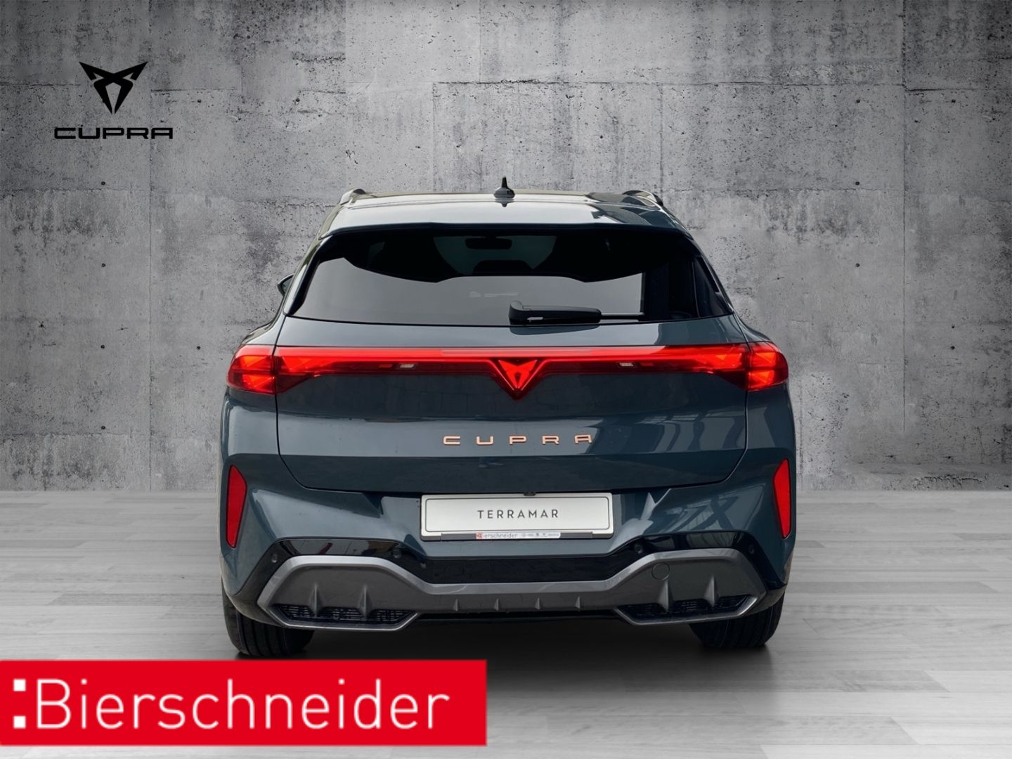 Cupra Terramar - Bild 8