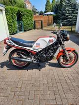 Yamaha RD350LC31K - YAMAHA 350