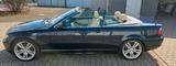 BMW E46  320 Ci Cabrio  Spezial Edition Ex... - BMW 320: 320ci E46