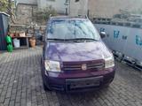 Fiat Panda - Fiat Panda aus 2011: Allradantrieb