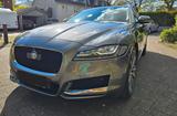 Jaguar XF 30d 300PS Portfolio Automatik Portfolio - Jaguar XF in Hamburg