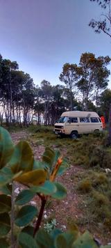 Volkswagen T3 Syncro TÜV neu, AAZ eingetragen, Technik top! - Volkswagen T3: Standheizung