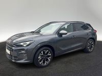 Cupra Terramar - Vorschau Bild 2