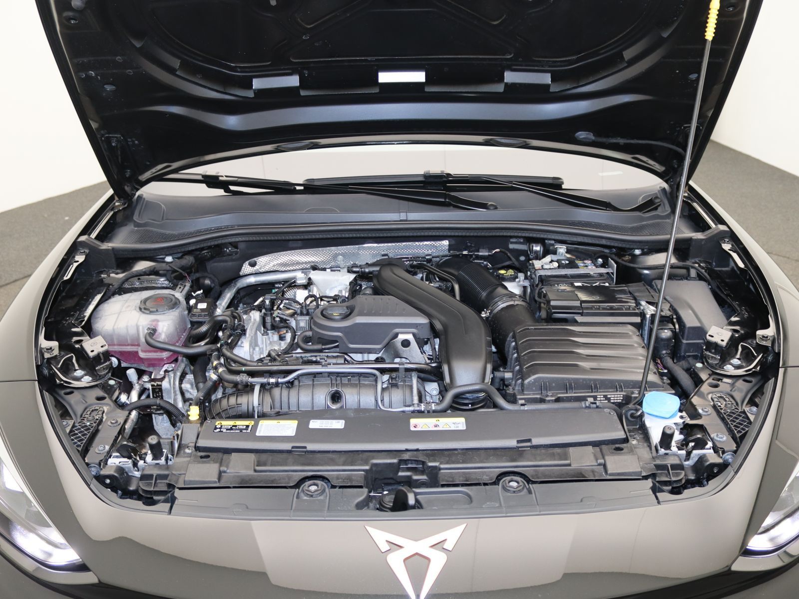 Cupra Leon - Bild 19