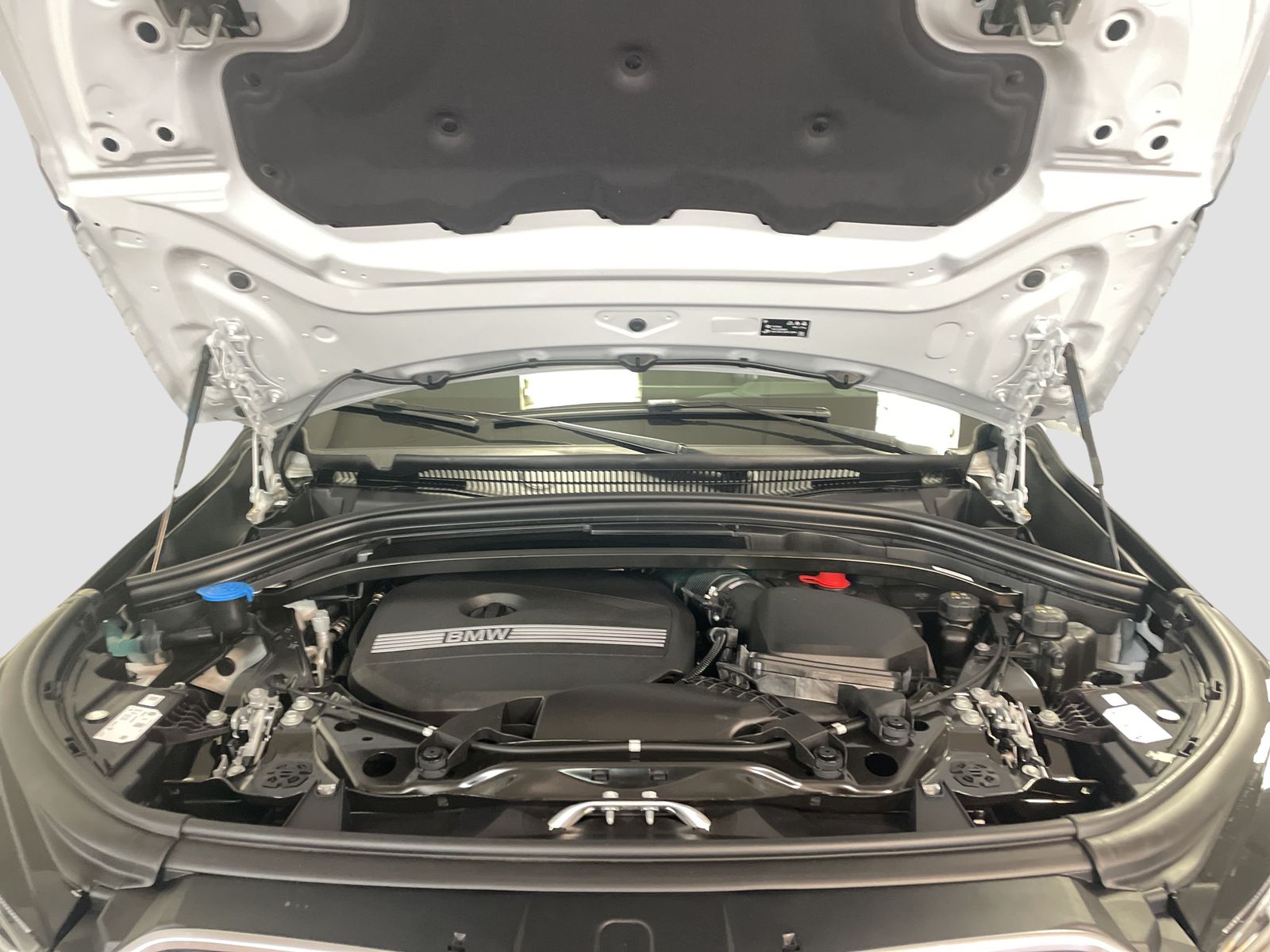BMW X1 sDrive20i Driv.Assist Harman K Head-Up LED foto 12