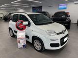 Fiat FIAT Panda 1.2 Classic - Fiat Panda Classic