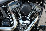 Harley-Davidson FXS Softail Blackline Rick´s aus 1. Hand - HARLEY-DAVIDSON BLACK