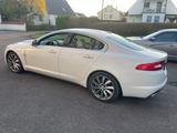 Jaguar XF 4.2 L V8 Premium Luxury / 3.Hand / Scheckheft - Jaguar XF mit Benzin-Antrieb: Limousine, 4.2