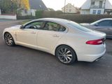 Jaguar XF 4.2 L V8 Premium Luxury / 3.Hand / Scheckheft - Jaguar XF: Luxury