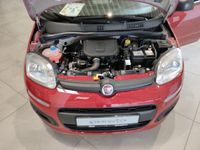 Fiat New Panda - Vorschau Bild 14