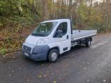 Fiat Ducato 2.Hand Lang Pritsche - Fiat Ducato in Hamm