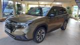 Subaru Forester 2.0 ie 100 kW AWD Platinum - Subaru Forester Platinum mit Hybrid-Antrieb (Benzin/Elektro)