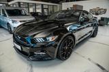Ford Mustang GT 5,0 PREMIUM LEDER NAVI 20° COC - Ford Mustang: Schwarz
