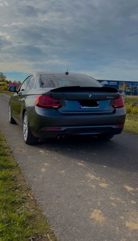 BMW 228i 2L OLED