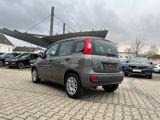 Fiat New Panda Easy 1.2 8V *Klimaanlage PDC DAB+* - Fiat New Panda Gebrauchtwagen