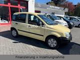 Fiat Panda 1.1 8V Active Rentnerauto 1.Hand AHK Top - Fiat Panda aus 2010: Allradantrieb