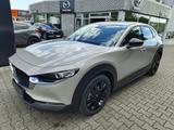 Mazda CX-30 2.5L e-SKYACTIV G FWD Homura - Mazda CX-30 Gebrauchtwagen