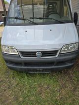 Fiat Ducato 2.8 JTD - Fiat Ducato: 8.2