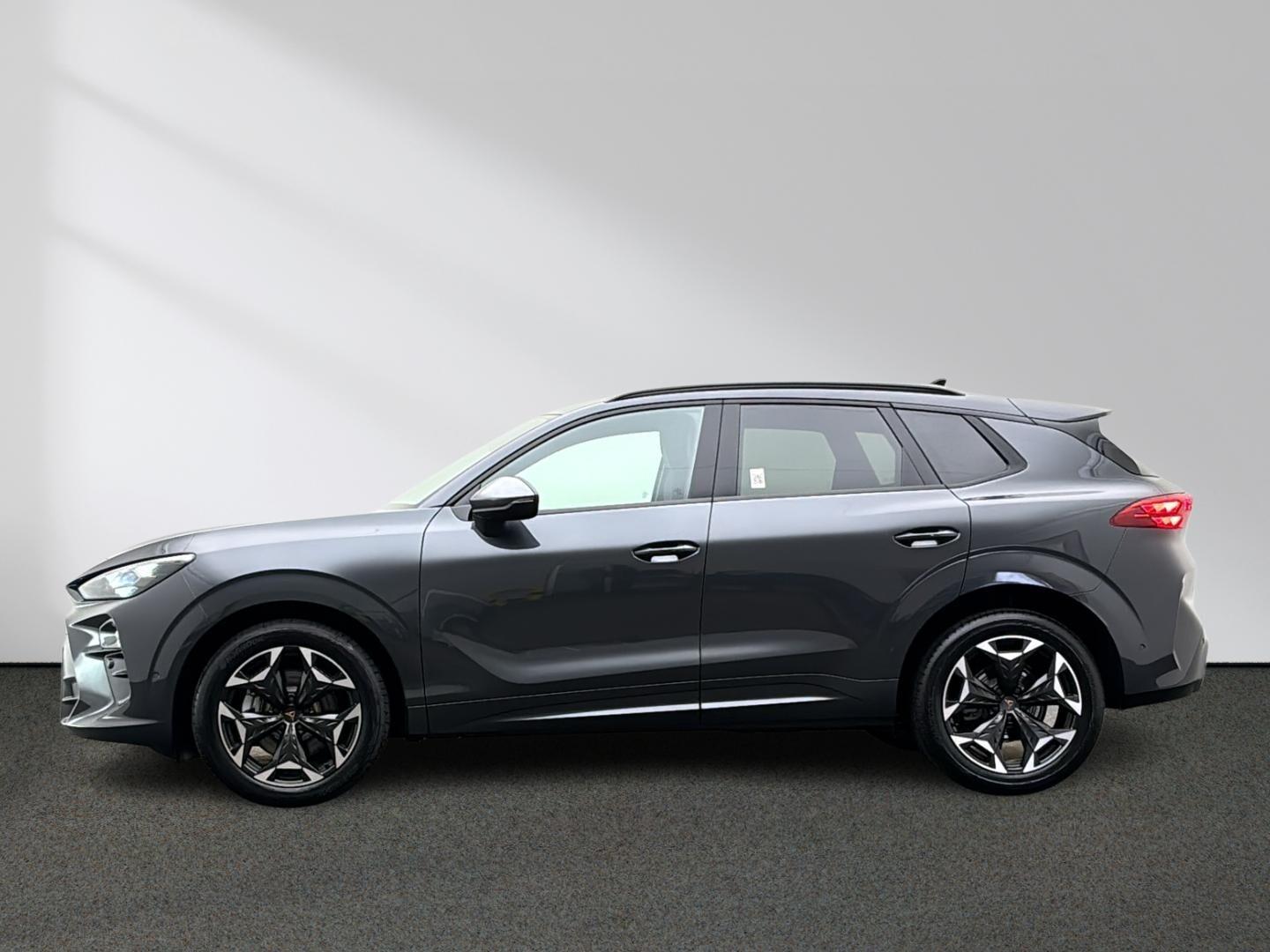Cupra Terramar 2.0 TSI 4Drive Moon light Stauassistent