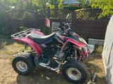 Kymco Maxxer 250 mit Anhängerkupplung - QUAD 250