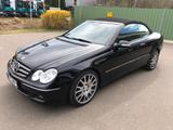 Mercedes-Benz CLK 500 CLK Cabrio CLK 500 Sport Edition - Mercedes-Benz CLK 500 Gebrauchtwagen