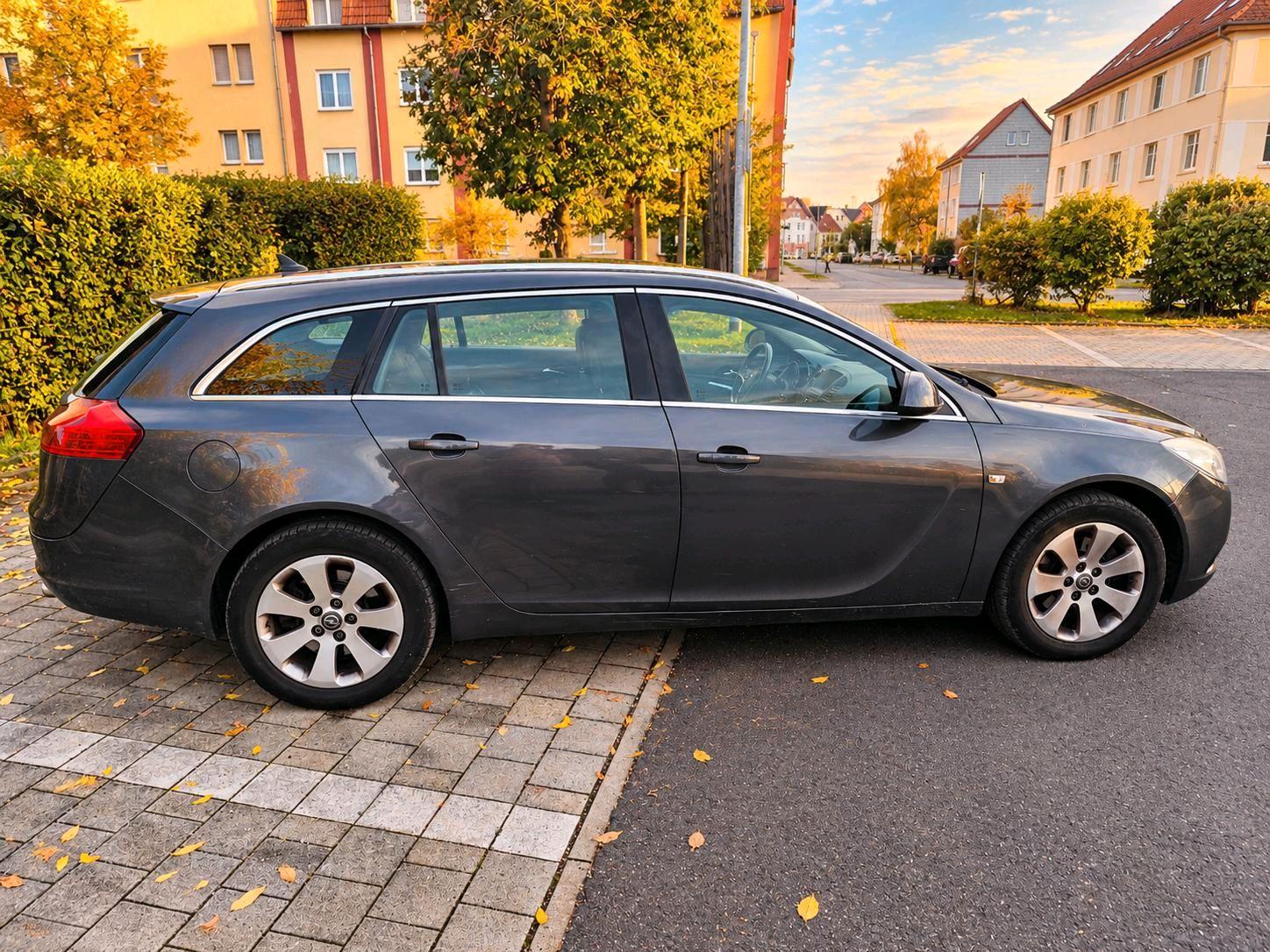 Opel Insignia 2009 — rear view