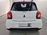 Smart Forfour 0.9 Turbo passion Klimaautomatik - Smart ForFour in Mannheim