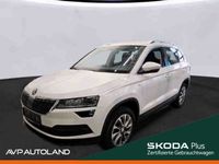 Skoda Karoq - Vorschau Bild 1