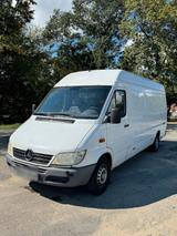 Mercedes-Benz Mercedes Sprinter 311 CDI XXL Lang - Mercedes-Benz Sprinter aus 2003: Van