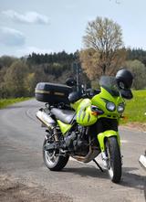 Triumph Tiger 955i 709EN - Offers matching your search criteria