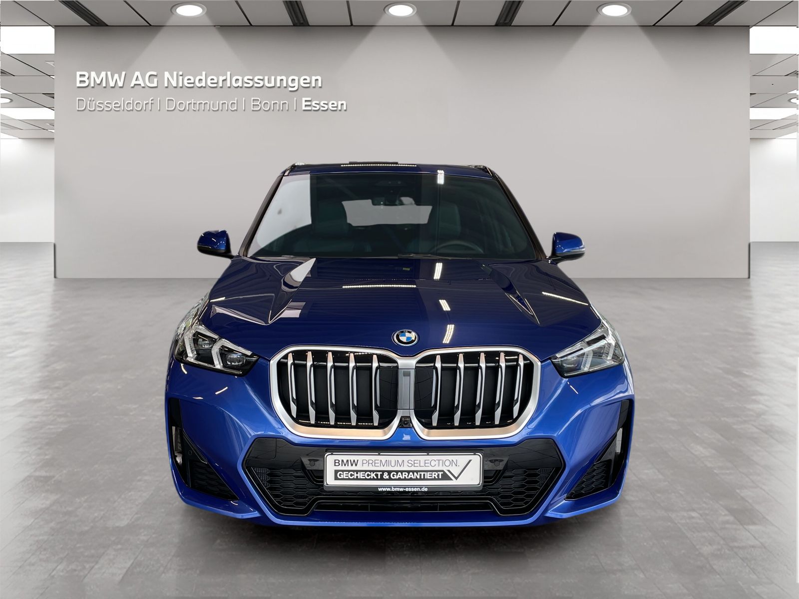 BMW X1 xDrive30e M Sport AHK Driv.Assist.Prof LED foto 9