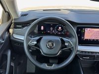 Skoda Octavia - Vorschau Bild 8