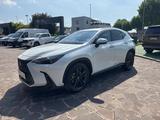Lexus NX NX 350 Hybrid Premium+ 4WD - Lexus aus 2024: Nx