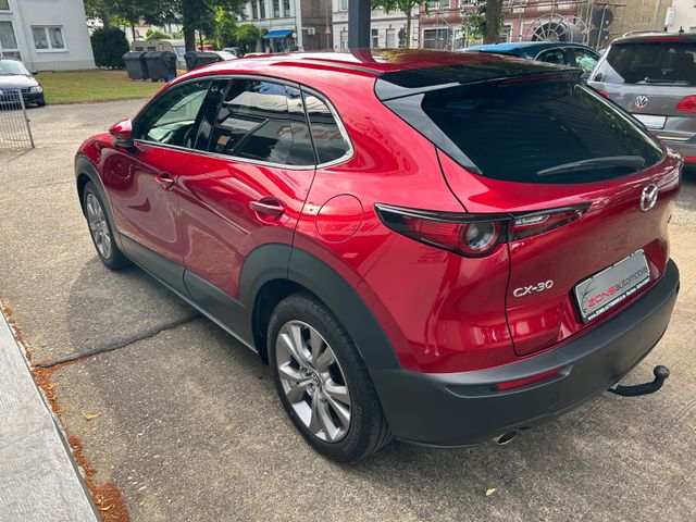 Fahrzeugabbildung Mazda CX-30 2.0+AHK+Navi+Kamera+HeadUp+CarPlay+1.Hand+