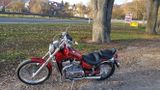 Suzuki Intruder VS800 52B  TÜV + Service Neu! - Offers matching your search criteria