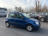 Fiat Panda 1.2 8V Dynamic Automatik - Fiat Panda in Hamm