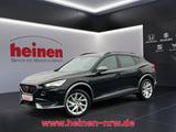 Cupra Formentor 1.5 TSI DSG Beats+LED+Navi+SHZ+360+PDC - Cupra Formentor Jahreswagen