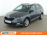 Skoda Fabia 1.0 TSI Style *TEMPO*PDC*SHZ*AHK*ALU*KLIMA - Skoda Fabia Gebrauchtwagen in Frankfurt