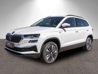 Skoda Karoq - Vorschau Bild 2