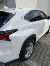 Lexus NX 300 300h Executive Line Executive Line - Lexus NX Series: Privatanbieter