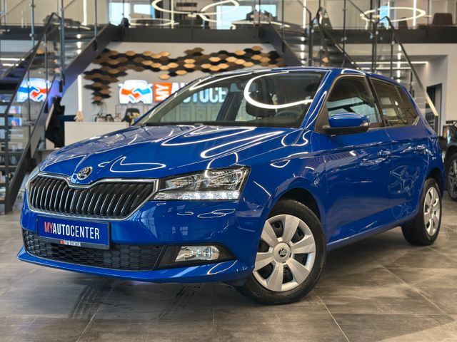 Skoda Fabia Active *1. Hand*Klima*Radio*Lichtautomatik