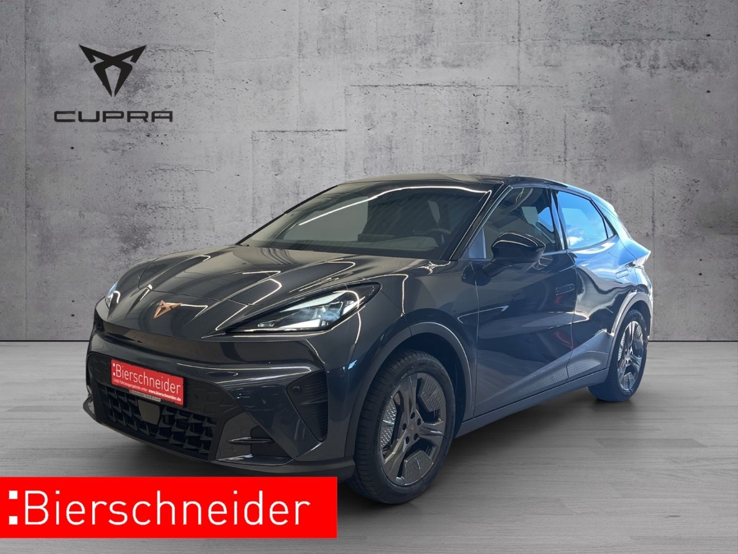 Cupra Raval Endurance Edition Dynamic LED KAMERA FULL