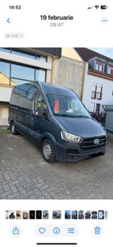 Hyundai h350 L2H2 - Hyundai H350 Gebrauchtwagen